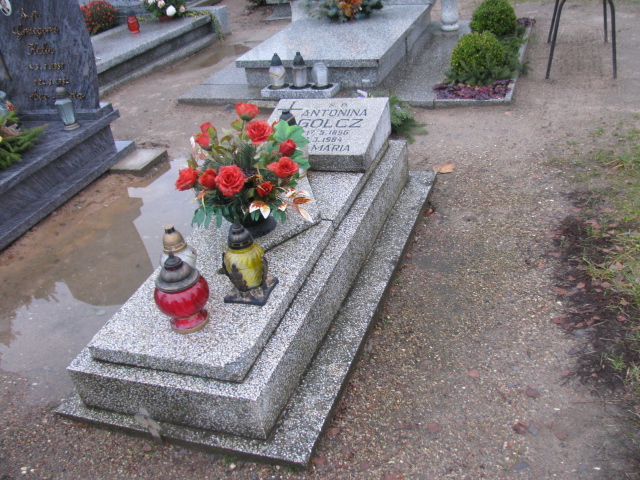 Grób Henryk Widawski